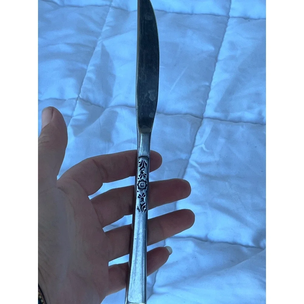 Vintage Unisex Ekco Eterna La Joya Dinner Knife OS Silver